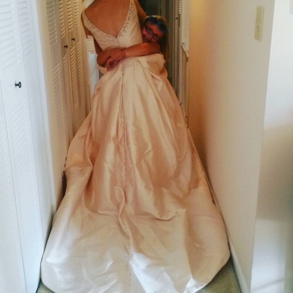 Gorgeous blush Ivory wedding gown